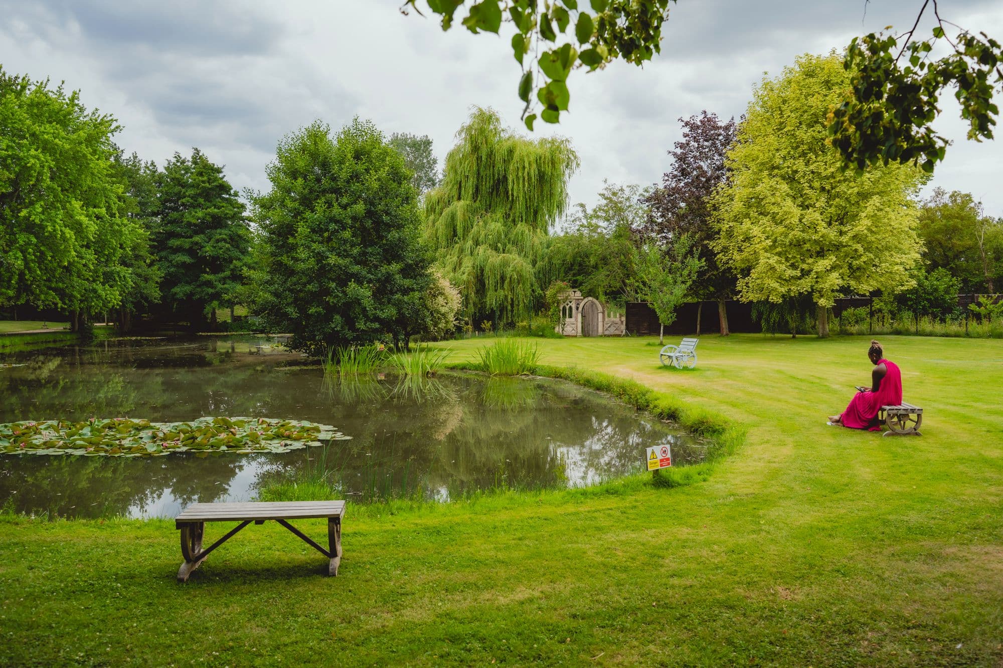 The lily pond and gardens in summer